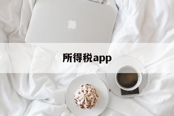 所得税app(怎样下载个人所得税app)