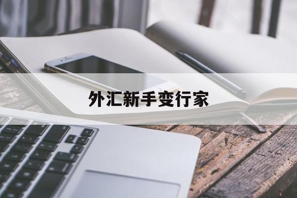 外汇新手变行家(外汇新手应该怎样入门)